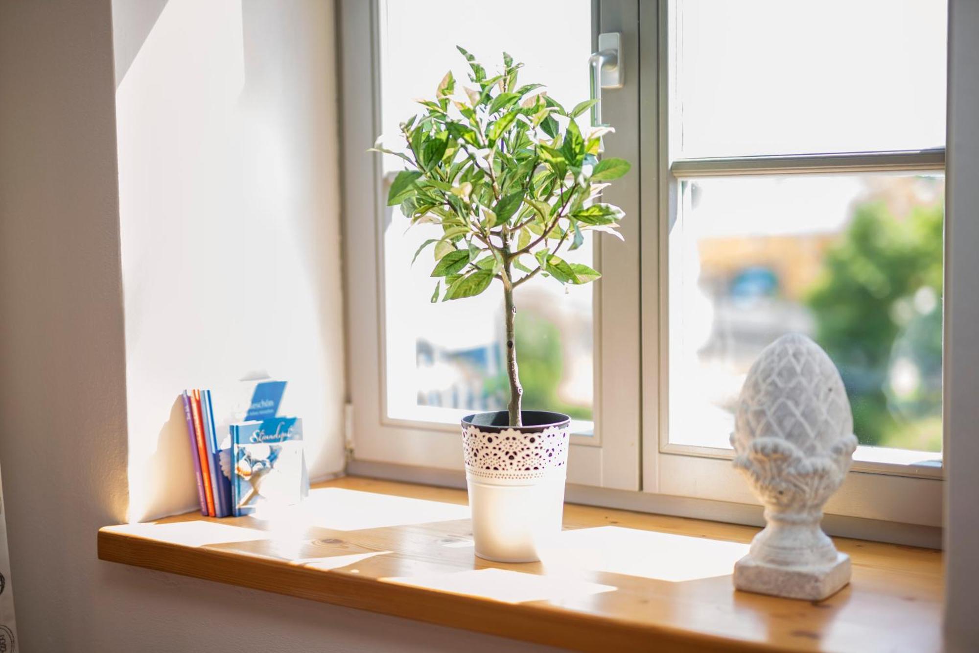 Landgut Mosch Apartment Radeburg Ngoại thất bức ảnh